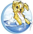 store_logo